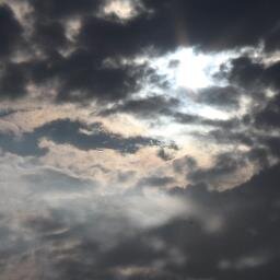 pravitela's profile picture. 팸돔 / 스팽 본디지 왁싱 방치 섹스리스