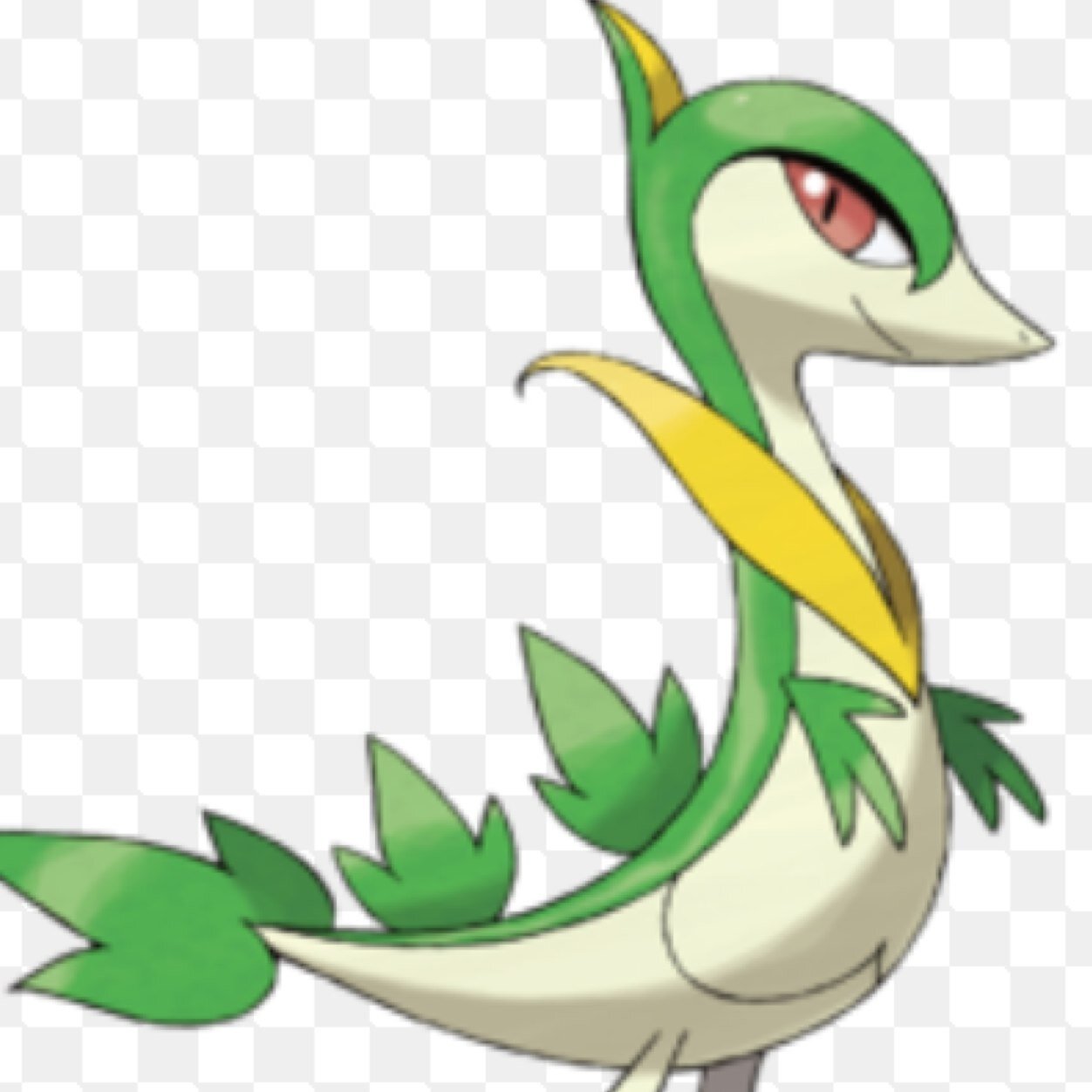 My name is Snivy and one day I hope to evolve into a Serperior Trainer~@Noah_flores718 Lvl-17 Moves~tackle,leer,vine whip,leaf tornado.