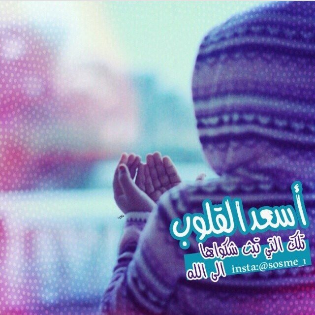 تخصص تغذيه اهدافي بتوفيق ربي سوف اصل اليها اجمل مااتمني رضي الله (هنا اقتباسات وقليل من قلمي