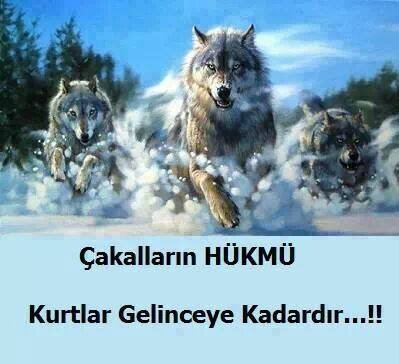 Futbol fanatiği, Öğrenci ,