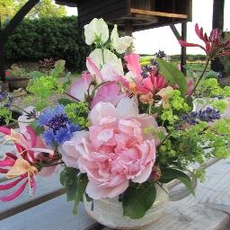 SuzannasFlowers's profile picture. Cut flower crazy.  Rural artisan florist,  utilizing our traditional English cutting garden. Specialising in country weddings and floral bouquets/gifts.
