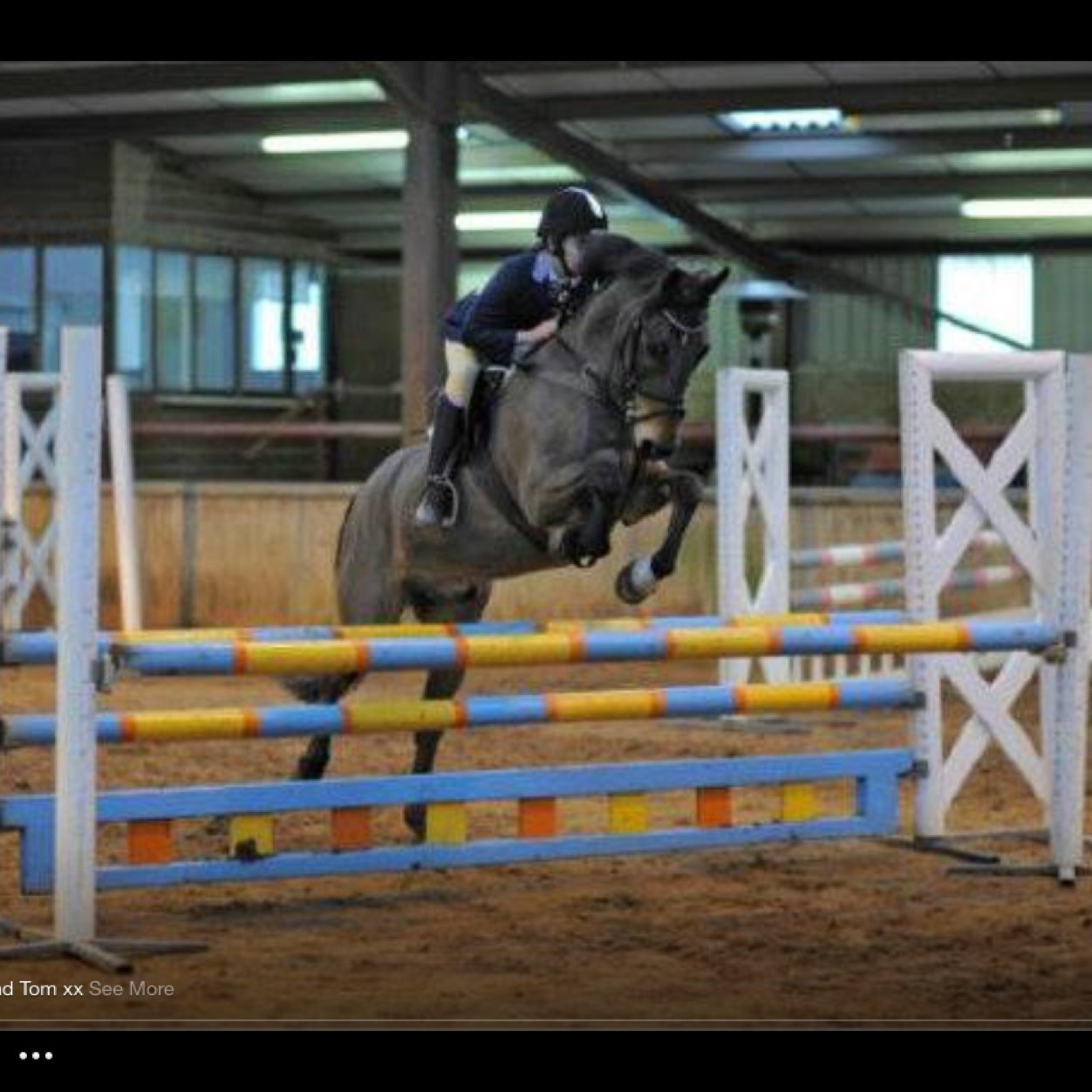 CarsonStasher's profile picture. Show jumper and plz follow ill follow back plz