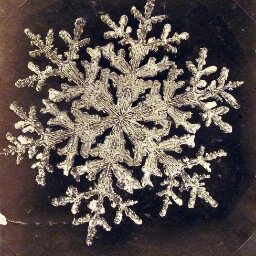 Fulgure_Laure's profile picture. Filmmaker