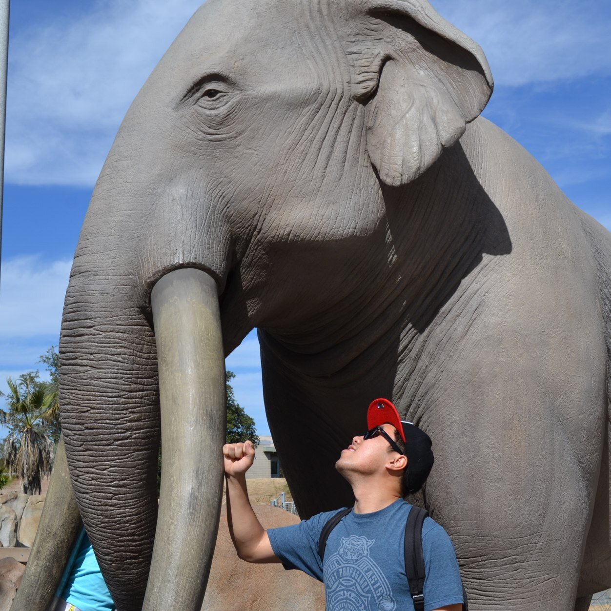 will_e_rush's profile picture. 