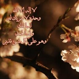 أشهد أن لا إلاه إلا الله و أن محمدا رسول الله.