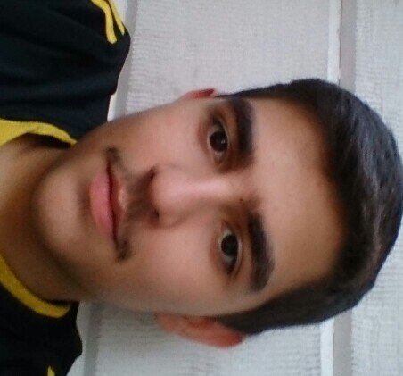 hamed67709965's profile picture. 