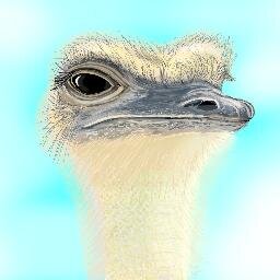 Lamijavin's profile picture. Drawquest addict that has moved to SketchClub