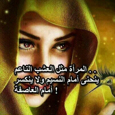 قدر الله وما شاء فعل