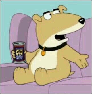 NVirgilito's profile picture. Dubstep Producer and Atheists.hometown Brick New Jersey single looking for a girlfriend that won't fuck me over like other ones have