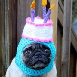 bjatti's profile picture. Athafnaskáld og geimfari.