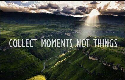 afifa_qureshi's profile picture. 