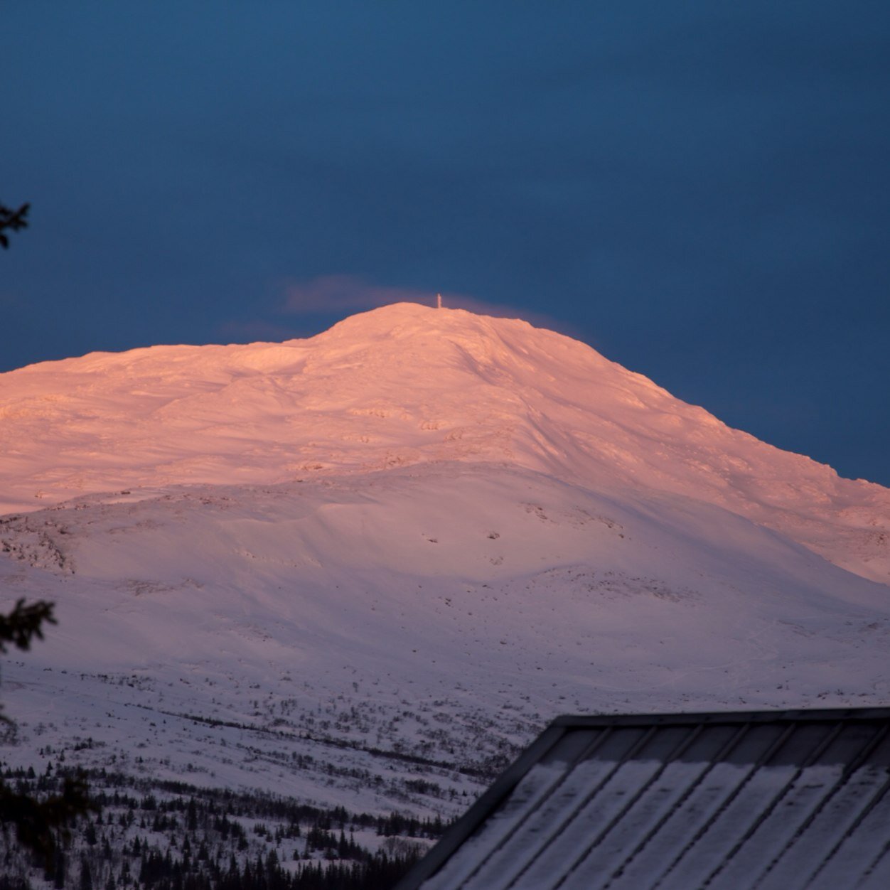 zenikman's profile picture. 