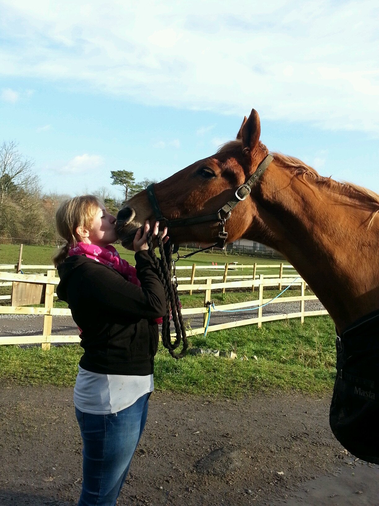 SShorsemassage's profile picture. Sophie Slavin Equine Massage Therapist, Bristol UK http://t.co/CLlHHntBoU fully insured, qualified 2005 travels locally and nationwide.