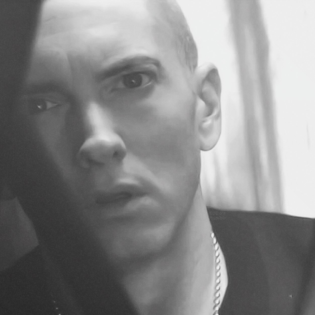 FemaleStan ~ Screamin Shady till I die❤