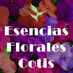 EFloralesCotis's profile picture. Esencias de Flores y Orquídeas de Venezuela, Sistema Cotis son preparados vibracionales que conservan la cualidad energética única de una flor determinada.