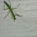 larry winter (18+) - @larrywinter1340 - Twitter