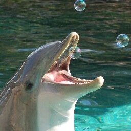 RAK_Ottawa's profile picture. Tweet us any Random Acts of Kindness you see or do, and we'll retweet them!