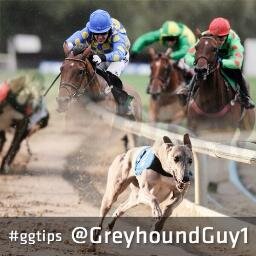 GGTipsInplay's profile picture. Separate tipping page for all inplay and rolling acca bets, for all other things my normal page is @GreyhoundGuy1
