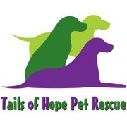 Tails of Hope Pet Rescue is a 501(c)3 organization dedicated to rescuing and rehoming dogs in need throughout the DFW community.