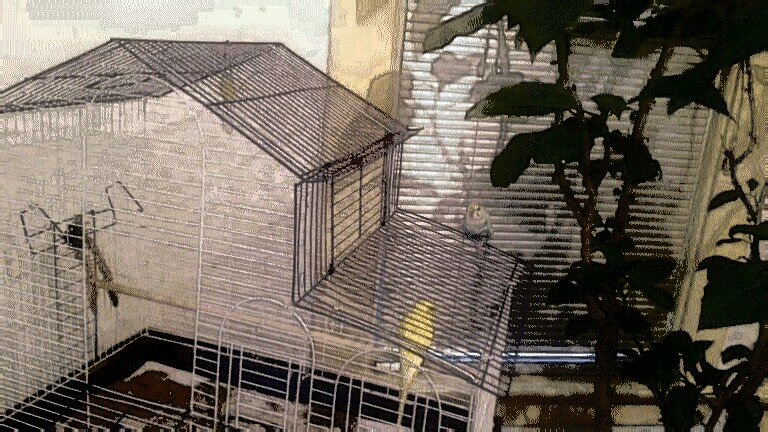 AshelyKay_87's profile picture. 