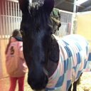 melissa stapley - @melissa_stapley - Twitter