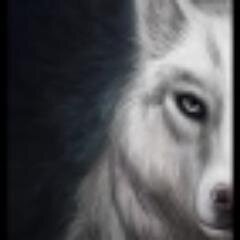 HelloChipsy's profile picture. Elise, Geekette, Gamette, Développeurette, auteurette, comediennette,...