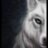 HelloChipsy's profile image