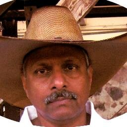 Director Intnl HR at CIMMYT - Committed to Food for the Future - (F4F)