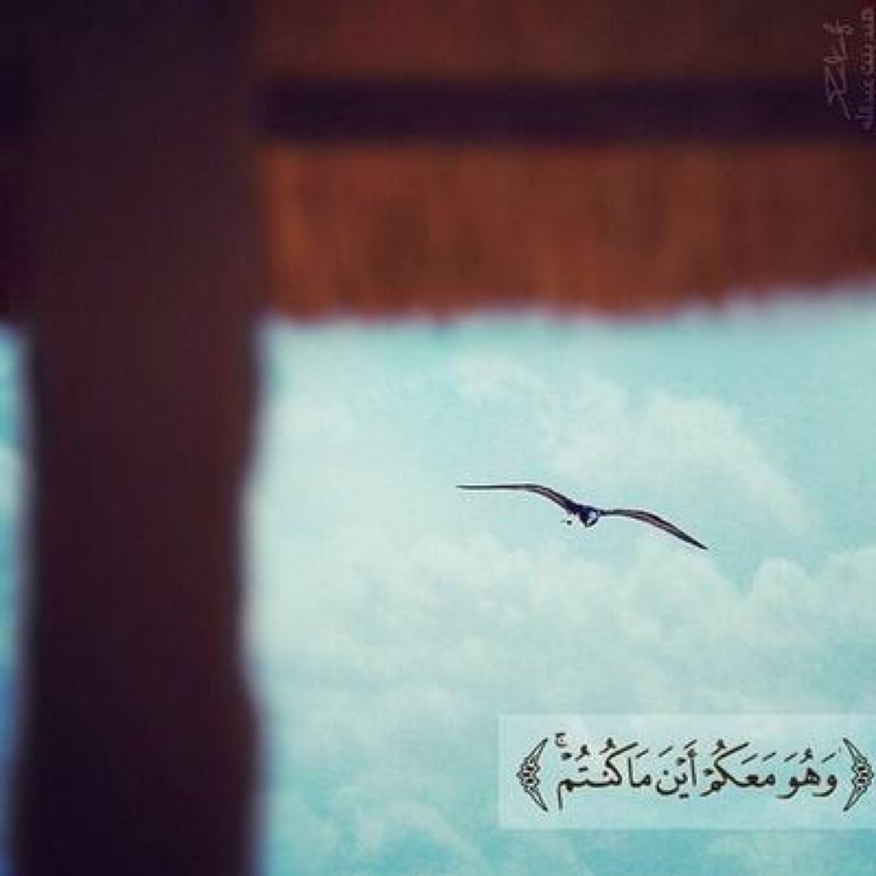 fun_run1122's profile picture. 