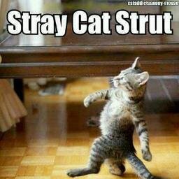 GraceRutledge9's profile picture. 