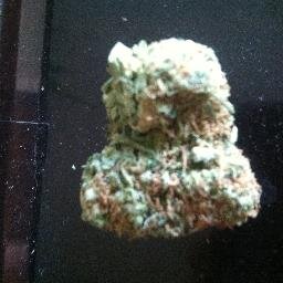 kaylei420's profile picture. just a fun loving guy