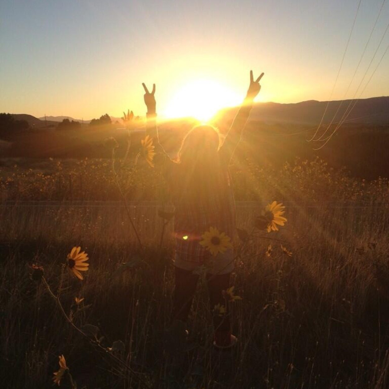 who lives, sees; who travles, sees more☪
