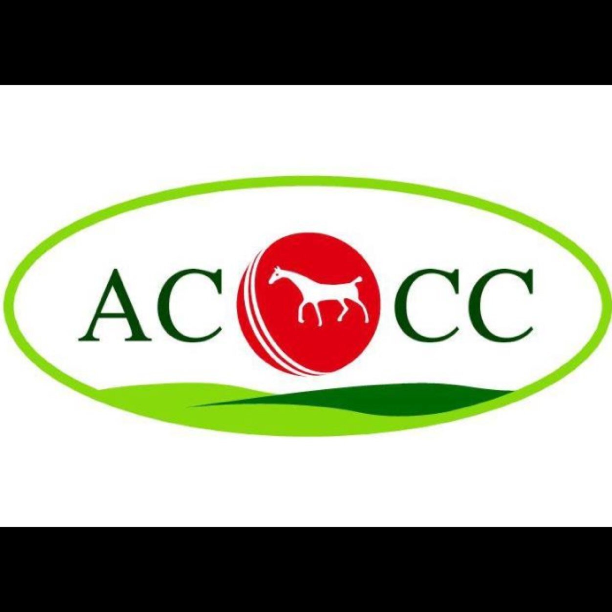 This is the official page of All Cannings Cricket Club. Currently in the Wiltshire County Cricket League Division 3. looking to bounce back after last season!