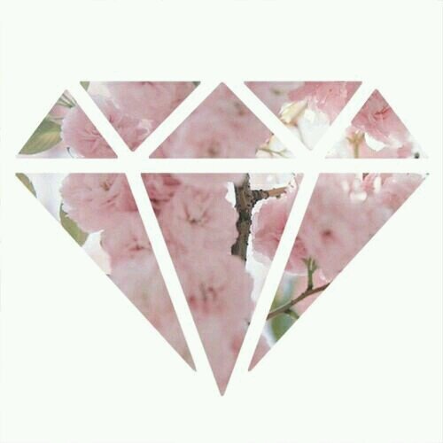 سويت لك فولو؟ فولو باك هنا @_dalalkhaled