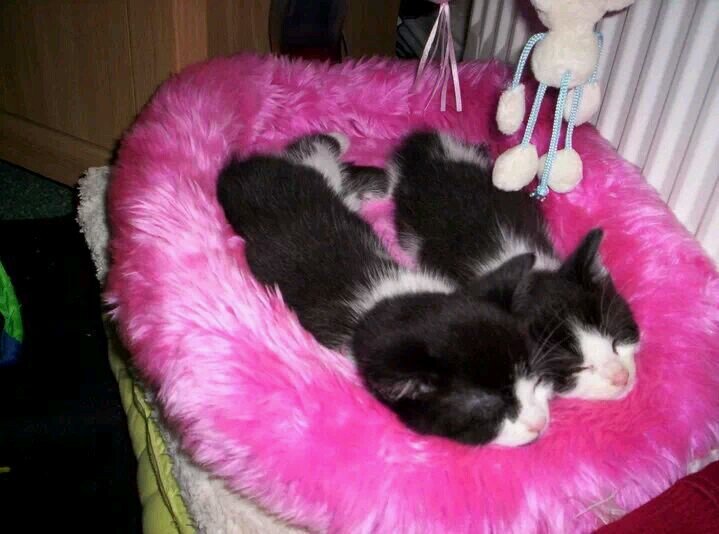 sazyb123's profile picture. 