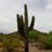 RitcheyW's profile image