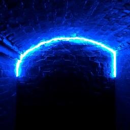 mavimojo's profile picture. jazz, tech-house, deep-house, lgbt, modern and contemporary art, street-art, pets, animals, human rights, animal rights, nature, literature