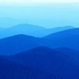 fabithebig1992's profile picture. 