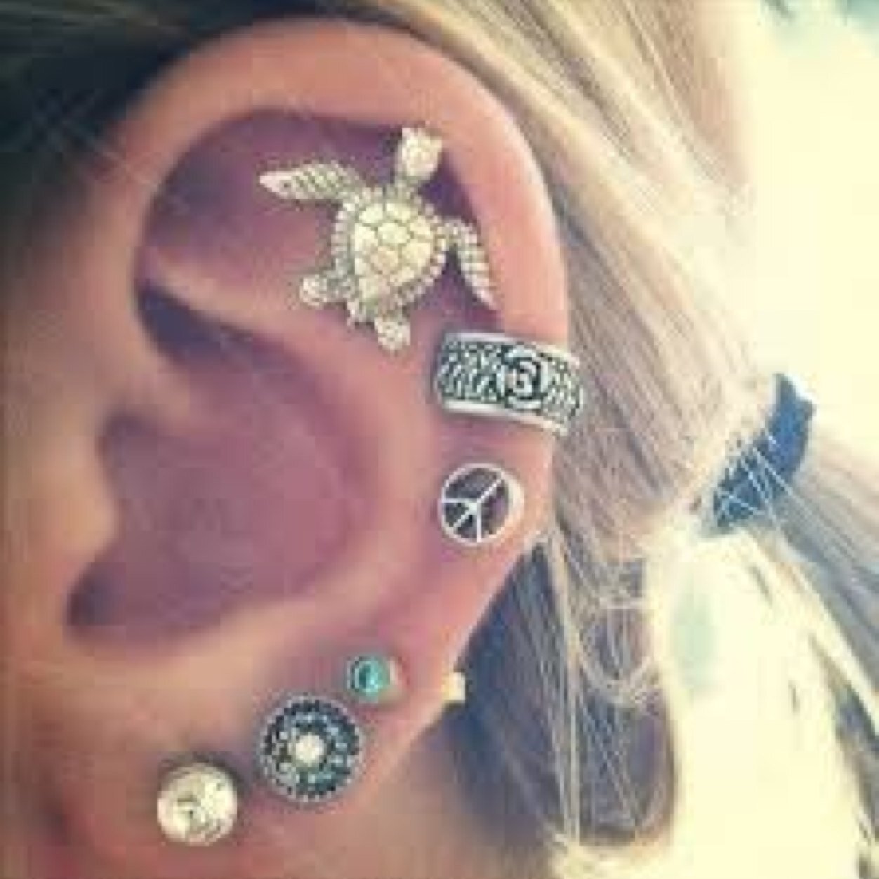 Piercings!❤️Tattoos!❤️Piercings!❤️Tattoos!❤️Piercings!
Follow me for images of weird and wonderfull piercings and tattoos!