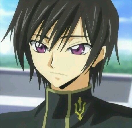 I go to Ashford academy and look after my sister Nunnally. The world cannot be changed by nice words alone.