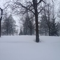 DUPsych (@dupsych) 's Twitter Profile