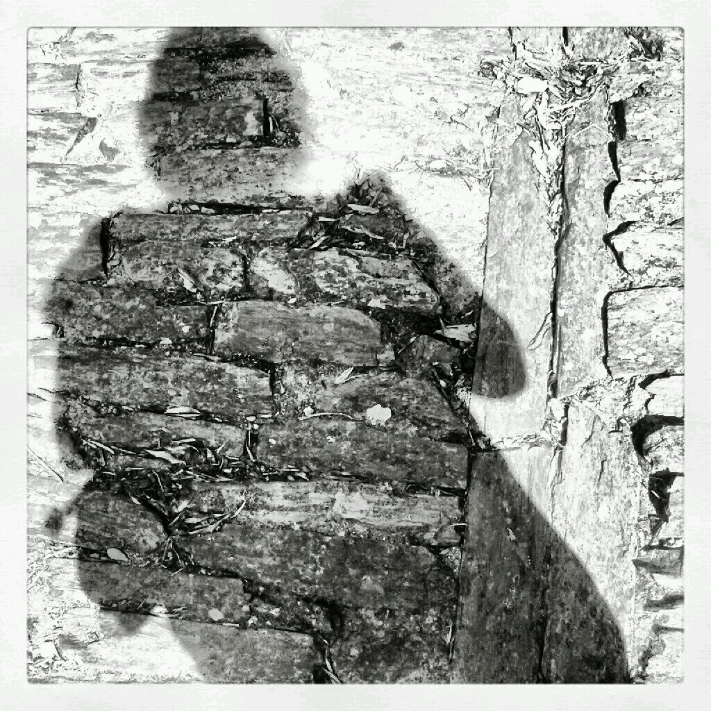 elsapereira25's profile picture. 