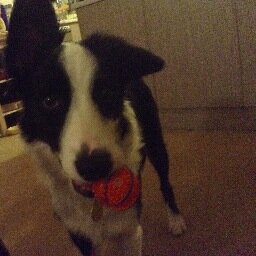 Marieannach's profile picture. 