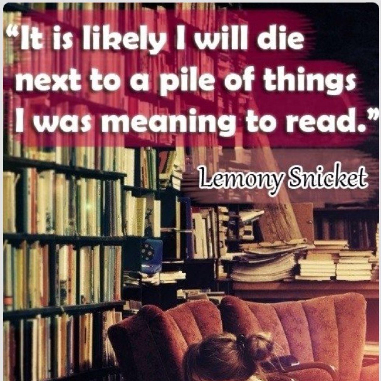 shreenbean1's profile picture. 