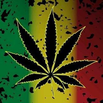 nssoor_060's profile picture. 