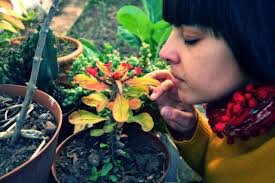 minisalva525's profile picture. Es posible dar sin amar. Pero es imposible amar sin dar