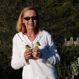 SybilJohnson18's profile picture. Discipleship Ministry, Writer