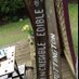 I E Tottington (@iediblet) Twitter profile photo I E Tottington (@iediblet) Twitter profile photo