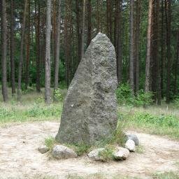 BitcoinShaman's profile picture. 