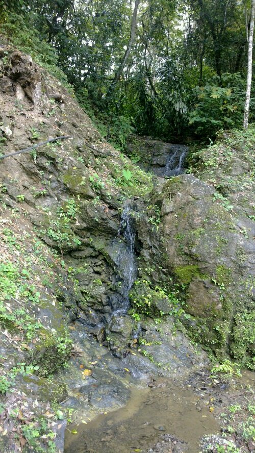 nanoshanguiri's profile picture. 